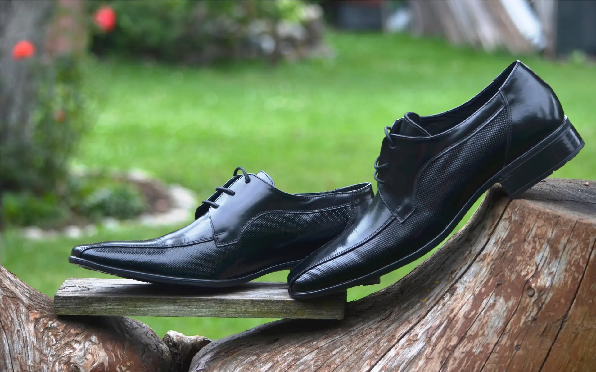 Par de zapatos de vestir de cuero negro sobre un tronco de madera